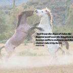 DAY 38 OF 70 DAYS OF MI CONFERENCE CALL PRAYER 9 PM EST – GUESTS/LINKS