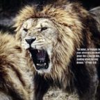 DAY 83 AND BEYOND CONFERENCE CALL PRAYER 9 PM EST – LINKS/INFO