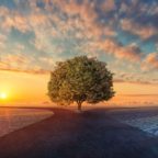 DAY 72 AND BEYOND CONFERENCE CALL PRAYER 9 PM EST – INFO/LINKS