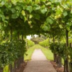 DAY 89 AND BEYOND CONFERENCE CALL PRAYER 9 PM EST – LINKS/INFO