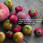 DAY 92 AND BEYOND CONFERENCE CALL PRAYER 9 PM EST – LINKS/INFO/SPECIAL GUEST