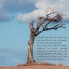 8 Things that Defile and Bring Curses to the Land