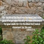 April 3 – Day 150 Prayer Call 9 PM EST