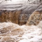 May 12 – Day 188 Prayer Call 9 PM EST