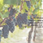 May 7 – Day 184 Prayer Call 9 PM EST