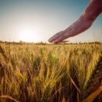 CONTENDING FOR THE FAITH…WINNING SOULS FOR THE KINGDOM!